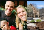 U.S. woman, son fighting for lives after giraffe attack.JPG