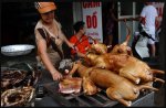 Vietnam's capital city - Hanoi urges residents to stop eating dogs.JPG