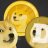 dogecoinmillionaire